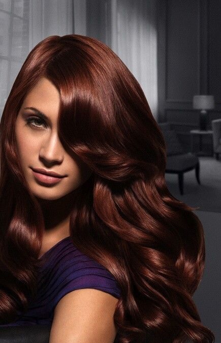 Coloration Cheveux Marron Photos Coiffure Simple Et Facile